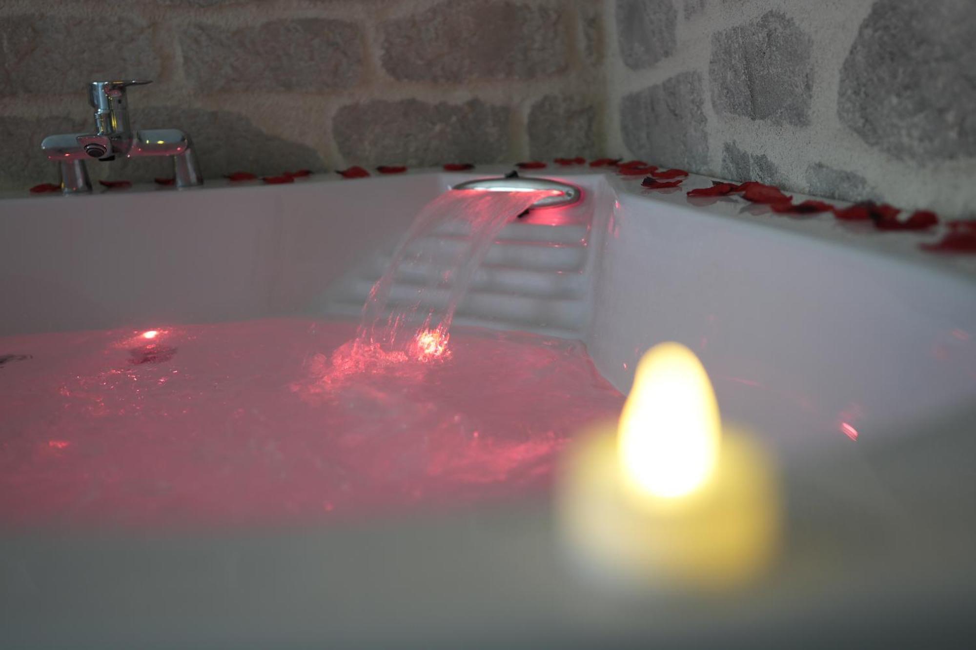 La Suite Neuvilloise Neuville-sur-Saône Dış mekan fotoğraf